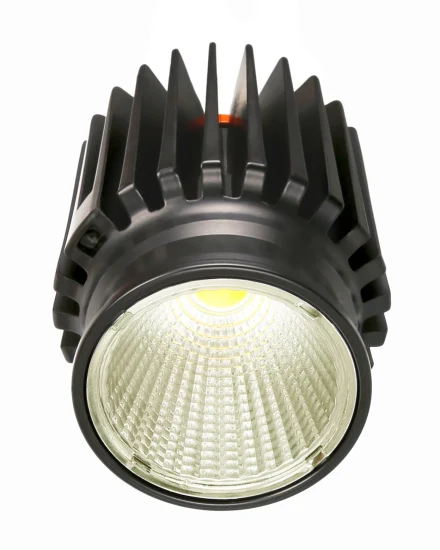 Módulo de luz LED comercial Foco Luminárias de iluminação pontual COB LED de teto para baixo Caixa de estrutura