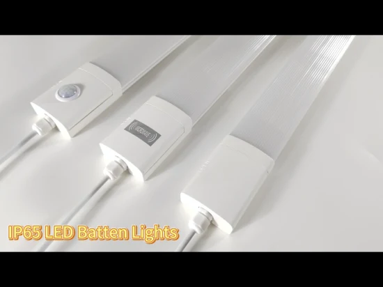 Batten Lights LED Tri-Proof com tampas que podem ser abertas para fácil substituição do driver