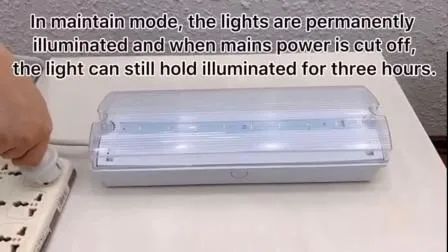 Luz de emergência LED de alta qualidade de 4,5 W com preço mais baixo de fábrica